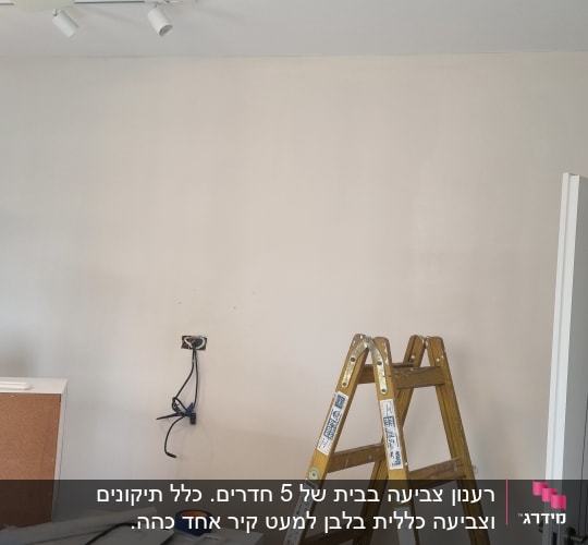 סולם, דלי צבע, קיר צבוע, דלת פתוחה